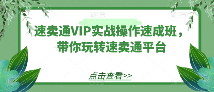 全球速卖通VIP实战操作短期培训班，带你玩转速卖通平台-韬哥副业项目资源网