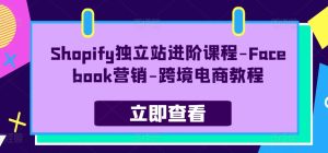 Shopify自建站升阶课程内容-Facebook营销推广-跨境电子商务实例教程-韬哥副业项目资源网