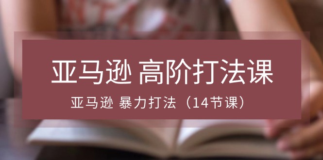 亚马逊高阶打法课，亚马逊暴力打法（14节视频课）-韬哥副业项目资源网