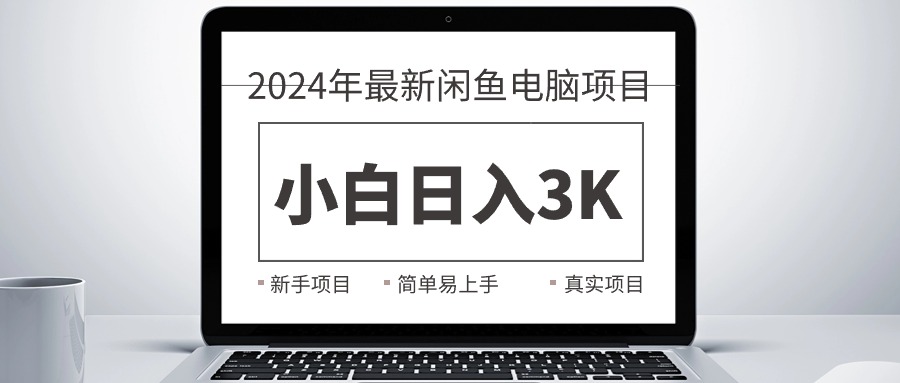 （10846期）2024全新淘宝闲鱼计算机新项目，新手入门日入3K ，最真实项目化教学-韬哥副业项目资源网