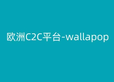 欧洲地区C2C服务平台-wallapop-kim跨境电子商务实例教程-韬哥副业项目资源网