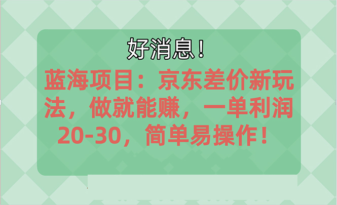 （10989期）越快了解越有钱赚的蓝海项目：京东大平台操作，一单利润20-30，简易…-韬哥副业项目资源网