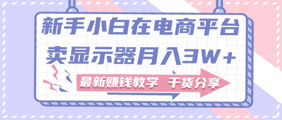 （11053期）新手入门怎样做到在电商平台卖显示屏月入3W ，最新赚钱课堂教学满满干货-韬哥副业项目资源网