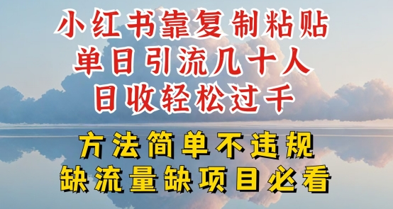 小红书靠复制粘贴单日引流几十人目收轻松过千，方法简单不违规【揭秘】-韬哥副业项目资源网