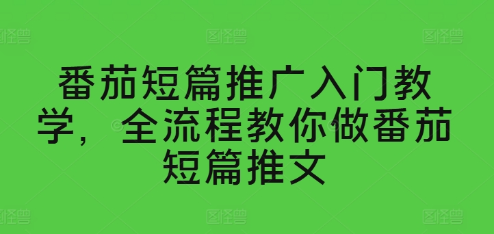 西红柿短篇小说营销推广新手入门课堂教学，全过程手把手带你西红柿短篇小说文章-韬哥副业项目资源网