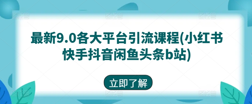 全新9.0各个平台引流课程(小红书的快手抖音闲剁椒鱼头条b站)-韬哥副业项目资源网