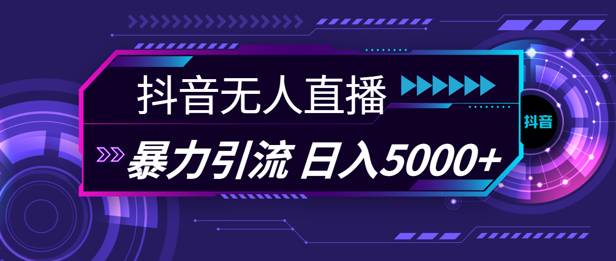 （11709期）抖音无人直播，暴利引流，日入5000+-韬哥副业项目资源网