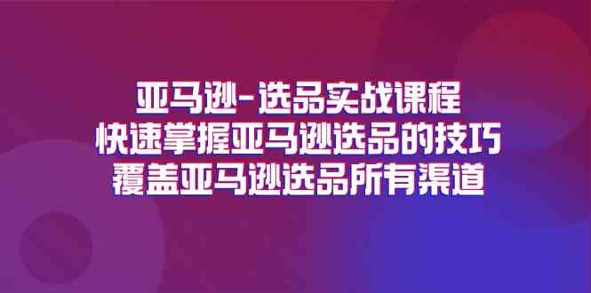 亚马逊选品实战课程，快速掌握亚马逊选品的技巧，覆盖亚马逊选品所有渠道-韬哥副业项目资源网