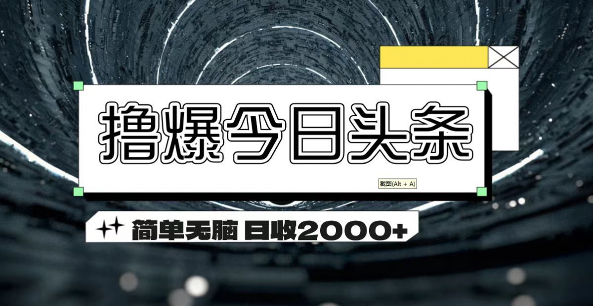 （11665期）撸爆今日头条 简单无脑操作 日收2000+-韬哥副业项目资源网