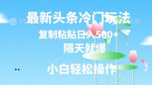 最新头条冷门玩法，隔天就爆，复制粘贴日入500+-韬哥副业项目资源网