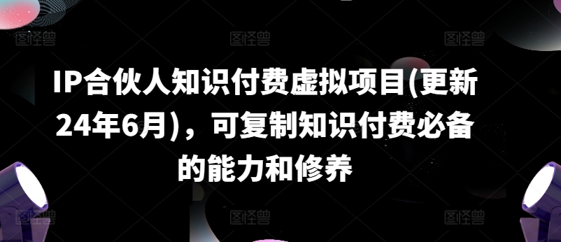 IP合作伙伴社交电商虚拟资源项目(升级24年6月)，复制推广社交电商必不可少能力与涵养-韬哥副业项目资源网