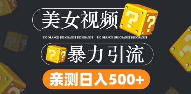 搬运tk美女视频全网分发，日引s粉300+，轻松变现，不限流量不封号【揭秘】-韬哥副业项目资源网