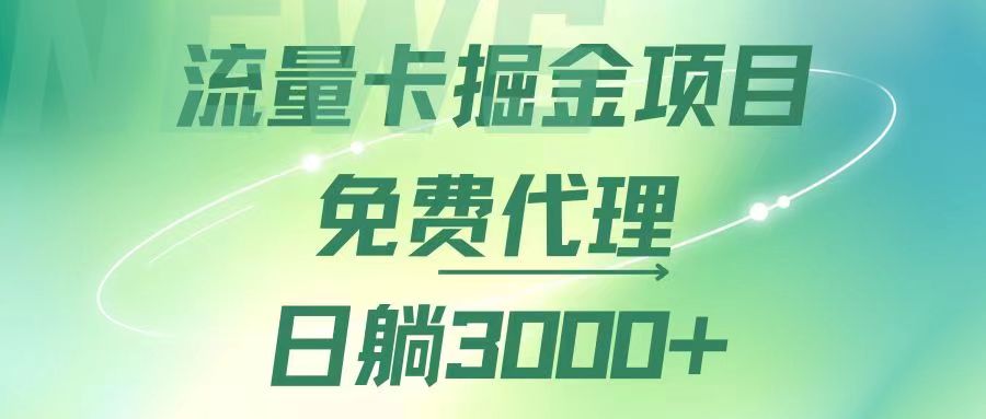 （12321期）流量卡掘金代理，日躺赚3000+，变现暴力，多种推广途径-韬哥副业项目资源网