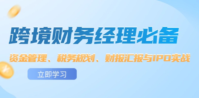 （12323期）跨境 财务经理必备：资金管理、税务规划、财报汇报与IPO实战-韬哥副业项目资源网