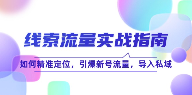 （12382期）线 索 流 量-实战指南：如何精准定位，引爆新号流量，导入私域-韬哥副业项目资源网