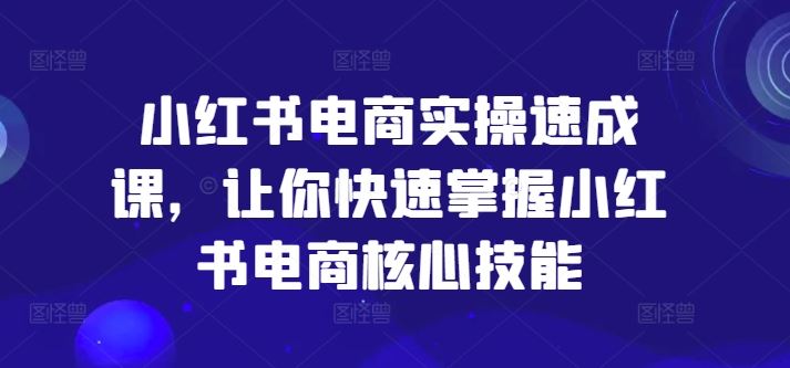 小红书电商实操速成课，让你快速掌握小红书电商核心技能-韬哥副业项目资源网