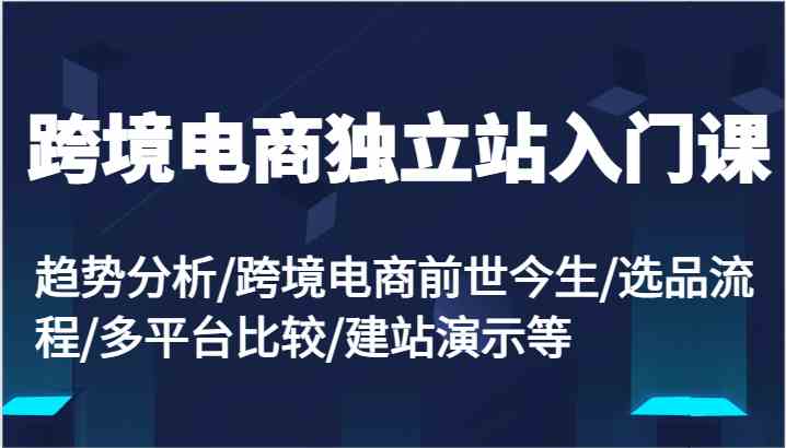 跨境电商独立站入门课：趋势分析/跨境电商前世今生/选品流程/多平台比较/建站演示等-韬哥副业项目资源网