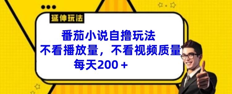 番茄小说自撸玩法，不看播放量，不看视频质量，每天200+【揭秘】-韬哥副业项目资源网