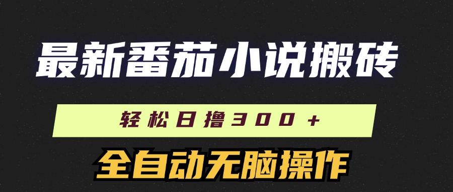 （11904期）最新番茄小说搬砖，日撸300＋！全自动操作，可矩阵放大-韬哥副业项目资源网