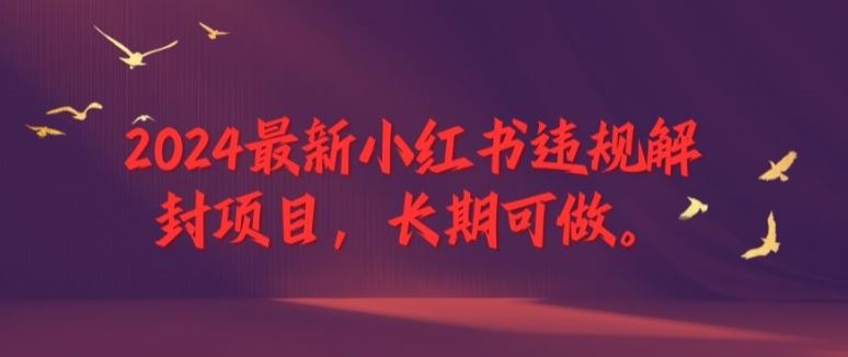 2024最新小红书违规解封项目，长期可做，一个可以做到退休的项目【揭秘】-韬哥副业项目资源网