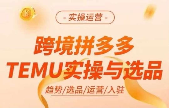 跨境拼多多TEMU实操与选品，多多temu跨境选品运营实操-韬哥副业项目资源网