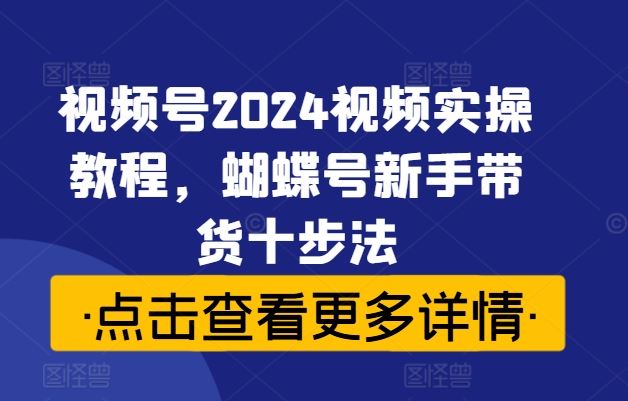 视频号2024视频实操教程，蝴蝶号新手带货十步法-韬哥副业项目资源网