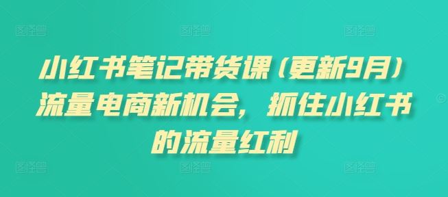 小红书笔记带货课(更新9月)流量电商新机会，抓住小红书的流量红利-韬哥副业项目资源网