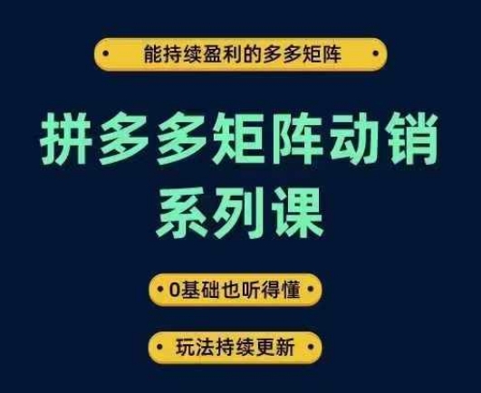 拼多多矩阵动销系列课，能持续盈利的多多矩阵，0基础也听得懂，玩法持续更新-韬哥副业项目资源网