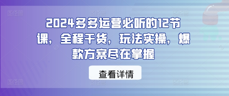 2024多多运营必听的12节课，全程干货，玩法实操，爆款方案尽在掌握-韬哥副业项目资源网