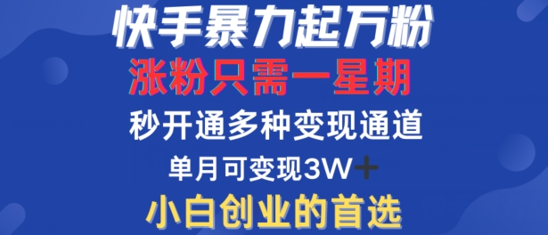 快手暴力起万粉，涨粉只需一星期，多种变现模式，直接秒开万合，单月变现过W【揭秘】-韬哥副业项目资源网