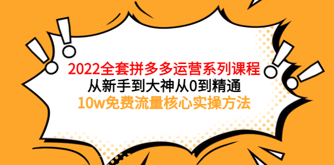 （3654期）2022全套拼多多运营课程，从新手到大神从0到精通，10w免费流量核心实操方法-韬哥副业项目资源网