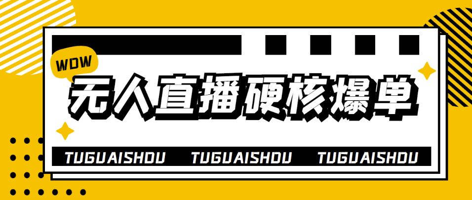 （3980期）大飞无人直播硬核爆单技术，轻松玩转无人直播，暴利躺赚-韬哥副业项目资源网