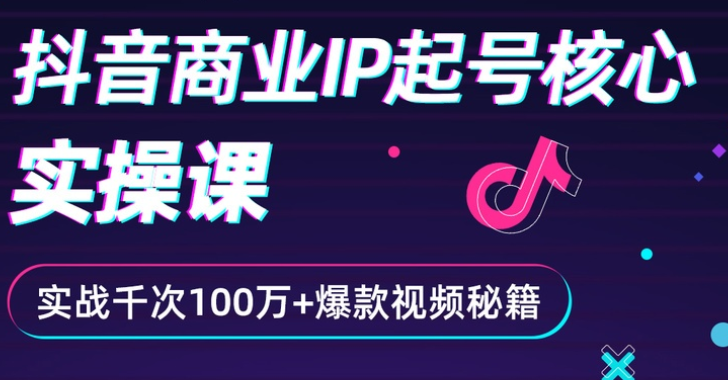 （2336期）抖音爆款商业IP起号核心实操课：带你玩转算法，流量，内容，架构，变现-韬哥副业项目资源网