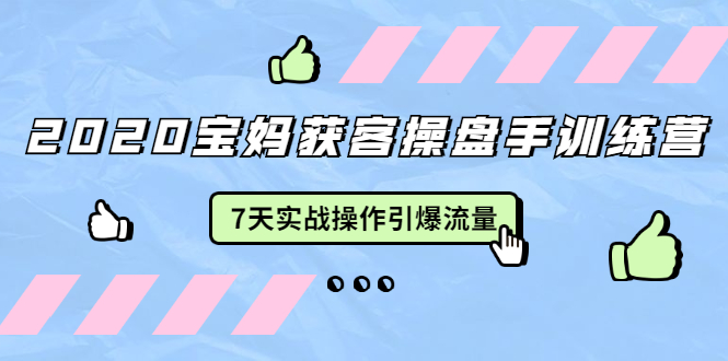 （1542期）2020宝妈获客操盘手训练营：7天实战操作引爆 母婴、都市、购物宝妈流量-韬哥副业项目资源网