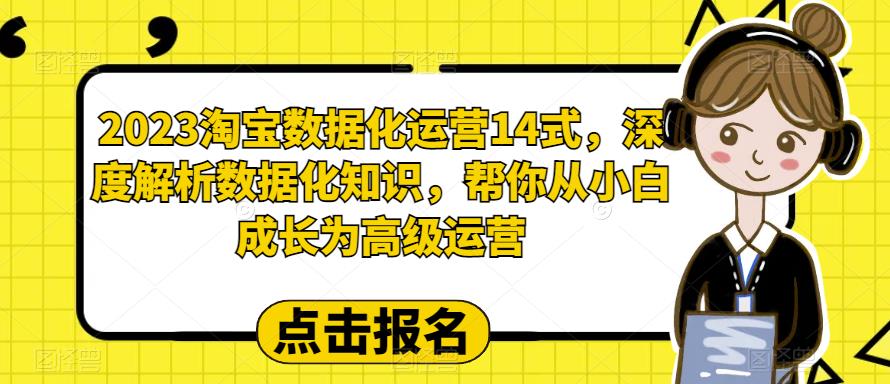 （6475期）2023淘宝数据化-运营 14式，深度解析数据化知识，帮你从小白成长为高级运营-韬哥副业项目资源网