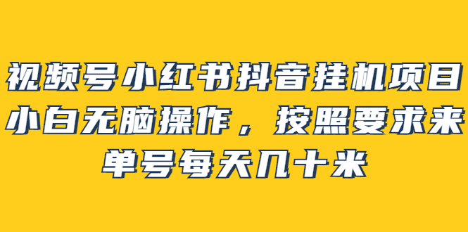 （2437期）视频号小红书抖音挂机项目，小白无脑操作，按照要求来，单号每天几十米-韬哥副业项目资源网