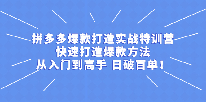 （2237期）拼多多爆款打造实战特训营：快速打造爆款方法，从入门到高手 日破百单-韬哥副业项目资源网