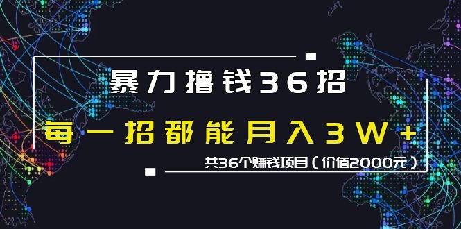 （1149期）暴力撸钱36招，每一招都能月入30000+共36个赚钱项目（价值2000元）-韬哥副业项目资源网