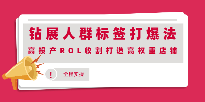 （2018期）钻展人群标签打爆法，高投产ROL收割打造高权重店铺(全程实操)-韬哥副业项目资源网