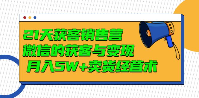 （2997期）21天获客销售营，带你微信的获客与变现  月入5W+卖货经营术-韬哥副业项目资源网