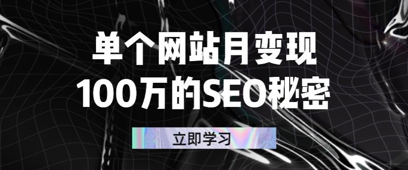 （2332期）单个网站月变现100万的SEO秘密：如何百分百做出赚钱站点-韬哥副业项目资源网