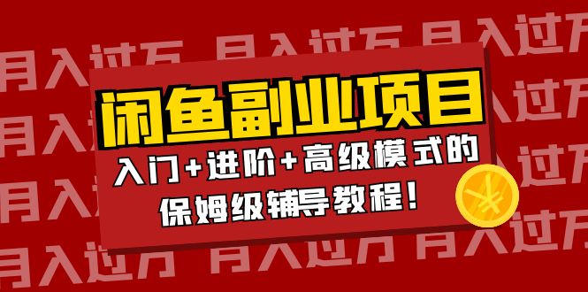 （3879期）月入过万闲鱼副业项目：入门+进阶+高级模式的保姆级辅导教程！-韬哥副业项目资源网