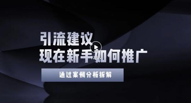 （3039期）今年新手如何精准引流？给你4点实操建议让你学会正确引流（附案例）无水印-韬哥副业项目资源网