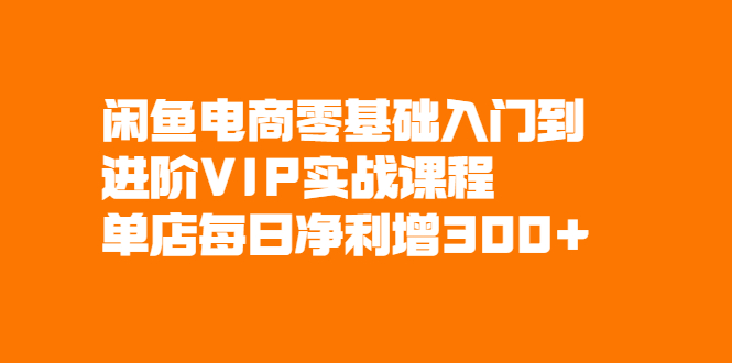 （2082期）闲鱼电商零基础入门到进阶VIP实战课程，单店每日净利增300+-韬哥副业项目资源网