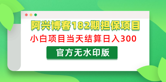 （1219期）阿兴博客182期担保项目：小白项目当天结算日入300可副业【官方无水印版】-韬哥副业项目资源网