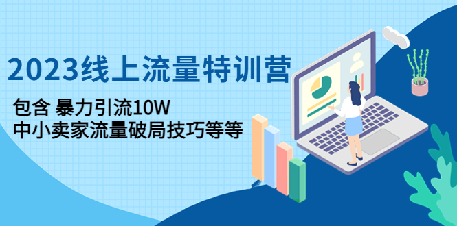 （4567期）2023线上流量特训营：包含暴力引流10W+中小卖家流量破局技巧等等-韬哥副业项目资源网