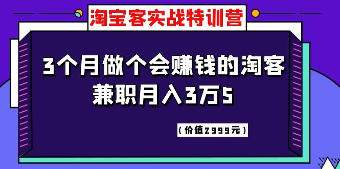 （1119期）淘宝客实战特训营，三个月做个会赚钱的淘客，兼职月入3万5（价值2999元）-韬哥副业项目资源网