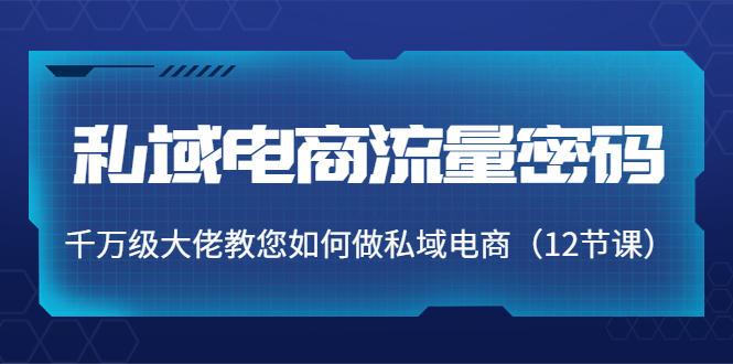 （3977期）私域电商流量密码：千万级大佬教您如何做私域电商（12节课）-韬哥副业项目资源网