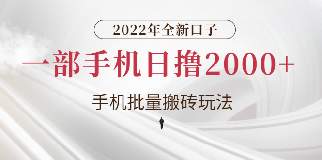 （2682期）2022年全新口子，手机批量搬砖玩法，一部手机日撸2000+-韬哥副业项目资源网