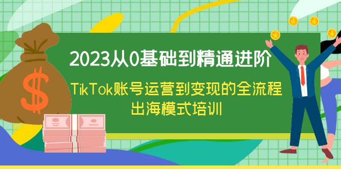 （6299期）2023从0基础到精通进阶，TikTok账号运营到变现的全流程出海模式培训-韬哥副业项目资源网